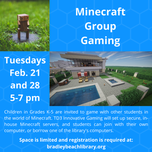 Minecraft Group Gami